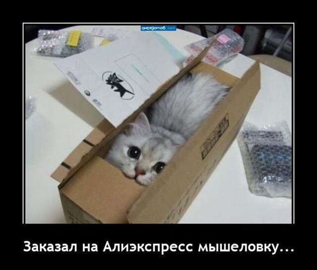 Демотиваторы для отличного настроения