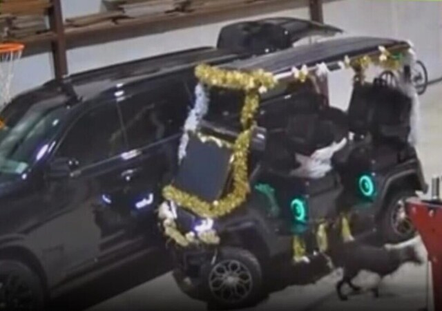 Пёс "угнал" гольфкар и врезался в автомобиль