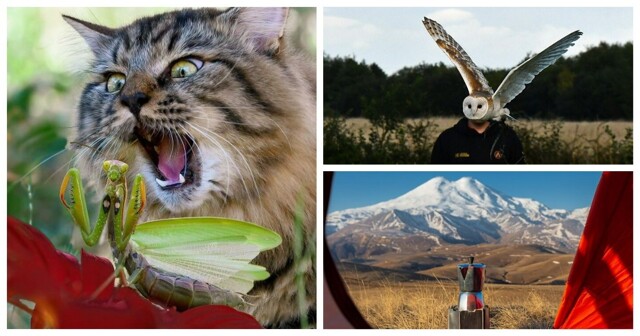 35 впечатляющих снимков со всего света