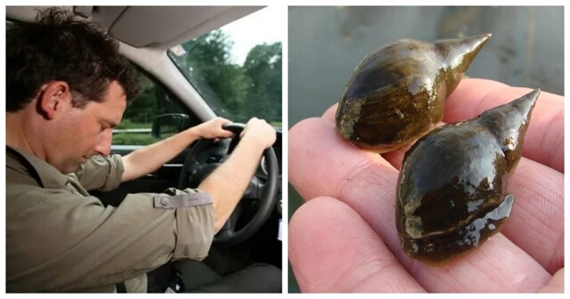 10 фактов, которые заставят вас переосмыслить реальность