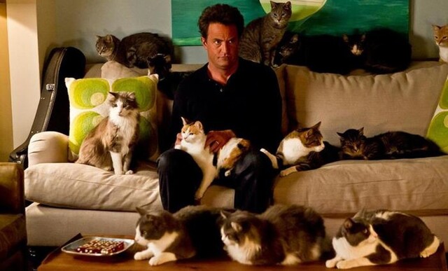 Незаменимый гаджет для владельцев кошек 