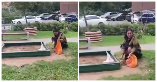 В Подмосковье приезжая высыпала пакет с отходами своего кота прямо в детскую песочницу