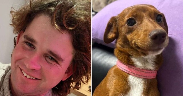 Каменщик отправился в кругосветное путешествие и пропал