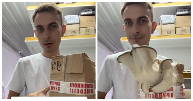 На ПВЗ заказ простоял так долго, что внутри вырос гриб