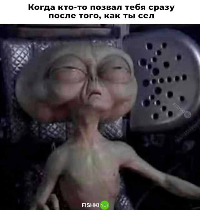 Большая тарелка улыбатора