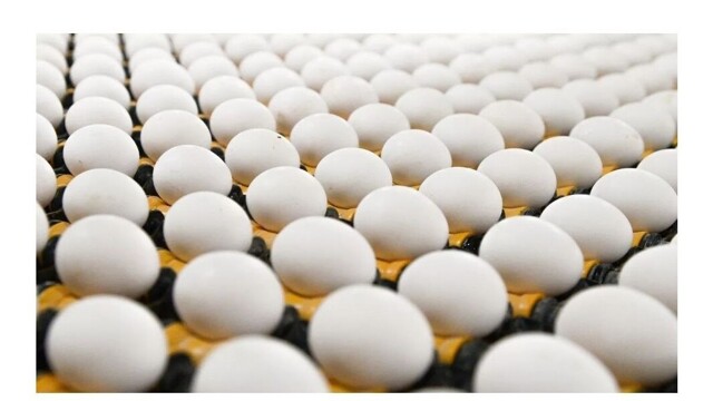 Долгий путь в 25 лет