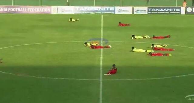 Пчёлы уложили на газон футболистов и судей в Танзании