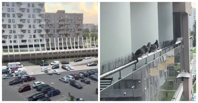 Метод против голубей: необычное решение на балконе