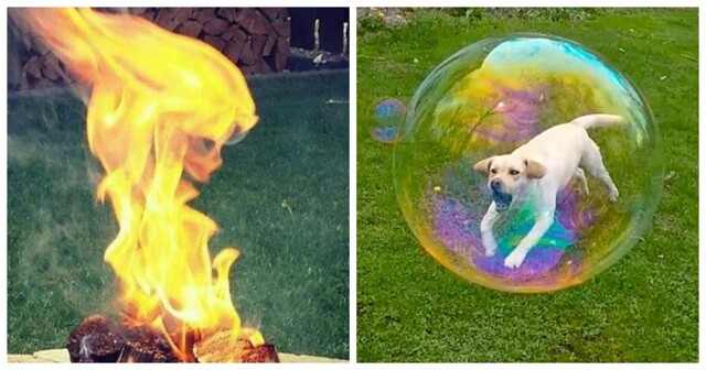 20 кадров повседневной магии, которые хочется рассматривать снова и снова