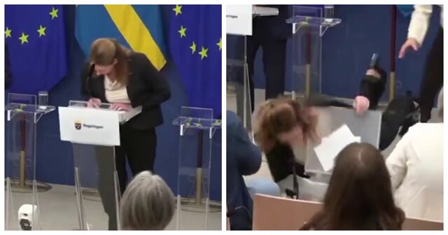 Министр здравоохранения Швеции потеряла сознание во время пресс-конференции