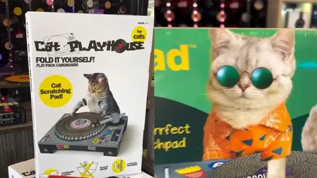 Кошачья когтеточка в виде диджейского пульта