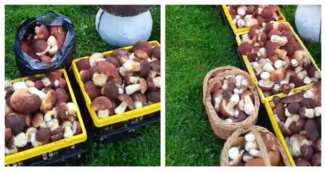 Любителям тихой охоты улыбнулась удача