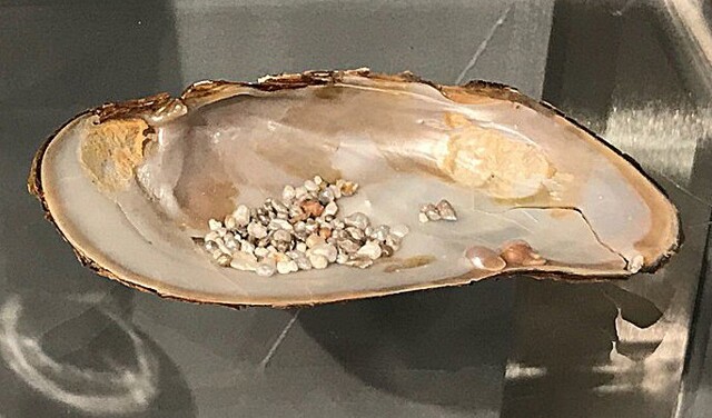 Жемчуг Кольского полуострова