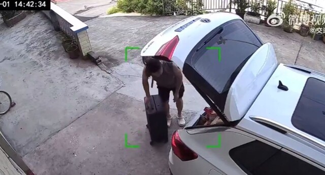 Чемодан сбежал от владельца