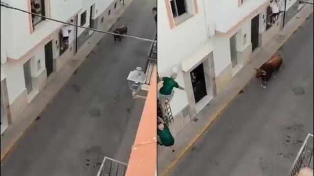 В Испании бык забодал мужчину, который не смог от него спастись во время забега