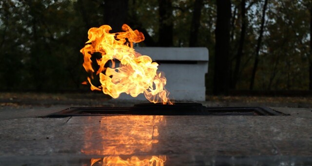 Две девочки пожарили зефир на Вечном огне