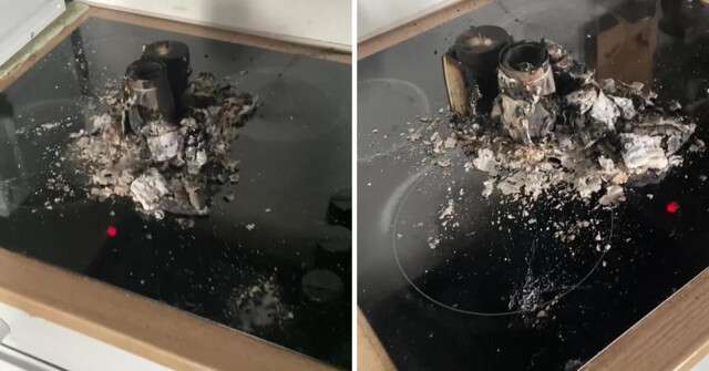 Четвероногий “поджигатель”: пёс лапой включил плиту, квартира чуть не сгорела