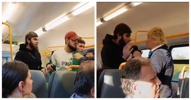 В Подмосковной электричке бородатые безбилетники с ножами напали на контролёра и пассажира