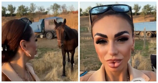 Лошади остались в тени: подписчики высмеяли губы блогерши