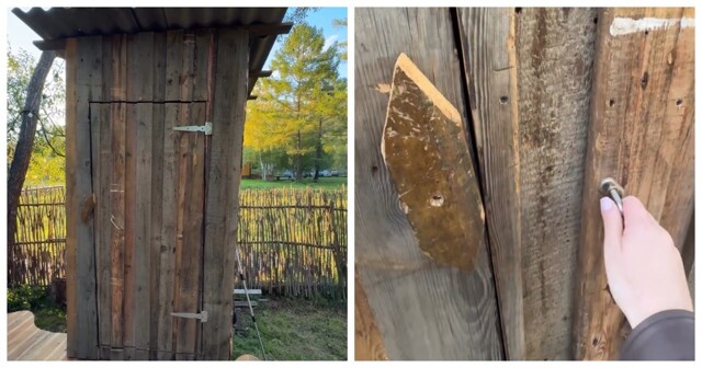 Девушка обнаружила в деревне туалет уровня премиум