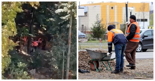 Драка из-за траншеи: 30 рабочих сцепились на стройке и устроили замес