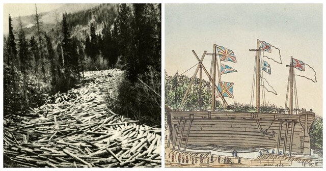 Плавучие лесопилки: неоднозначный проект британских судостроителей