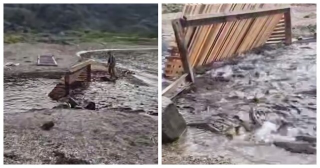 Рыбу не пускают на нерест