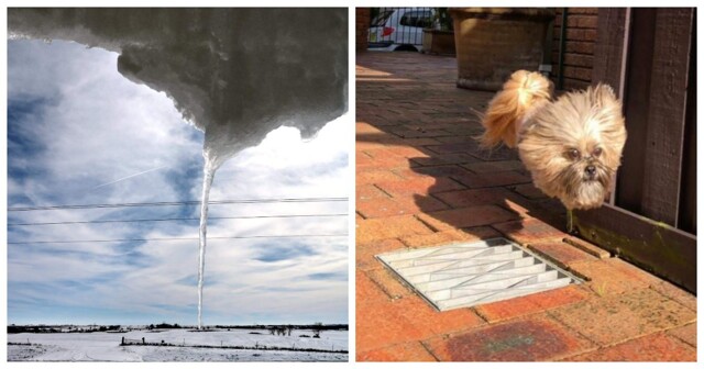 25 фото, которые заставят мозг перезагрузиться