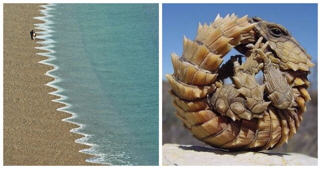 Искусство реальности: 20 фото, которые доказывают, что жизнь — это гениальный режиссёр