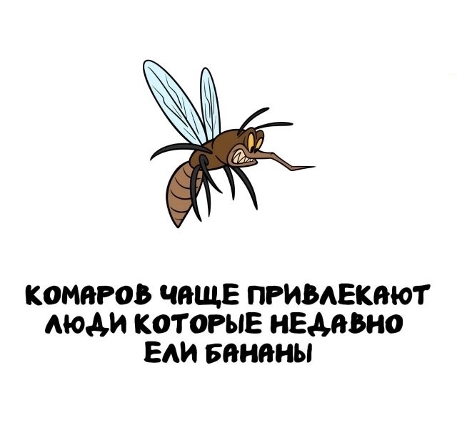 А вдруг ты не знал…