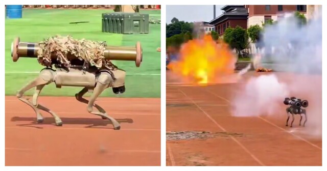 В Китае робособак научили пользоваться гранатометом