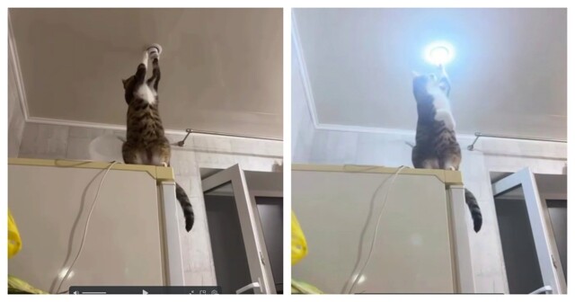 Профессионал за работой