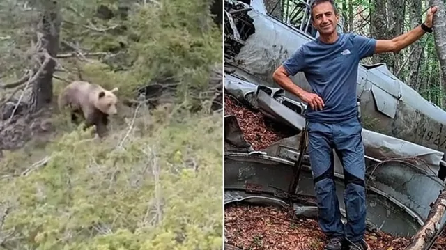 Последние мгновения жизни путешественника, встретившего медведя в Греции