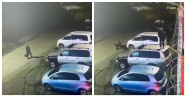 Мужчина залез на крышу машины, чтобы спастись от медведя