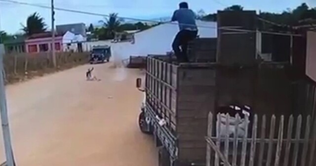 Грабители пожалели, что связались с фермером