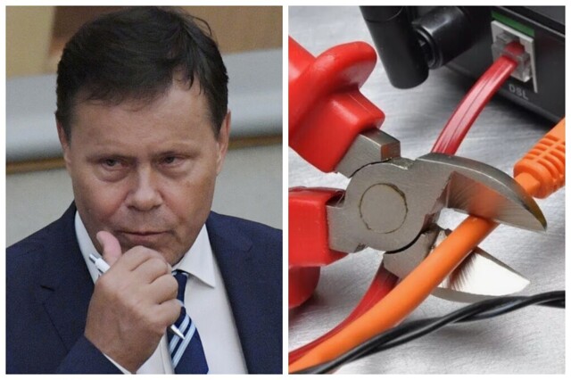 "Портит зрение и нервы": депутат Госдумы предложил отключать россиянам интернет хотя бы на выходные