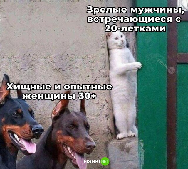 Не ищите здесь смысл. Здесь в основном маразм