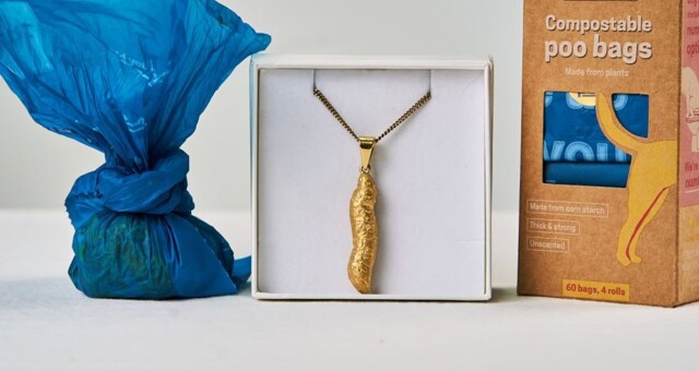 Британская компания придумала, как превратить собачьи экскременты в предмет роскоши