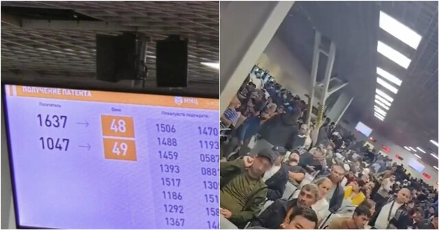 Амина в Сахарово: как приложение загнало мигрантов в очереди