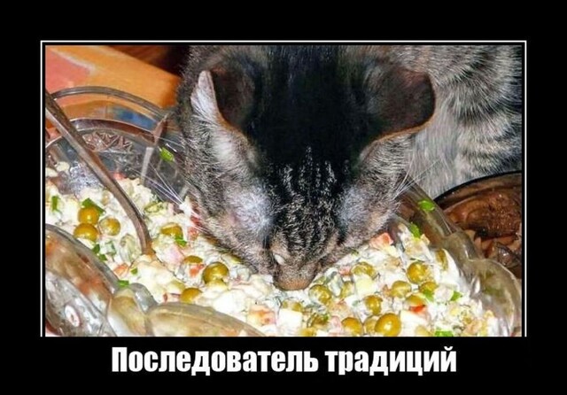Забавные и жизненные демотиваторы на понедельник