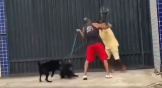 Драка хозяев и их питомцев