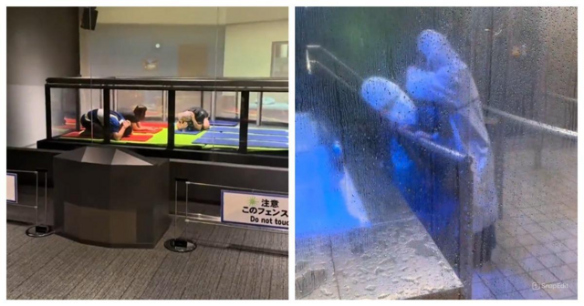 Японский центр по предотвращению стихийных бедствий