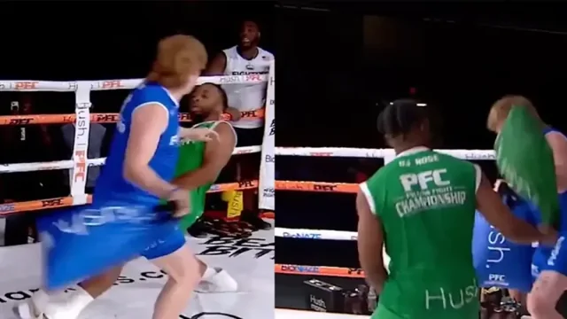 Профессиональные бои подушками в США