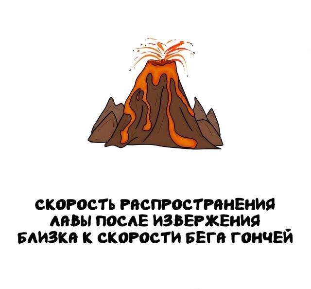 А вдруг ты не знал…