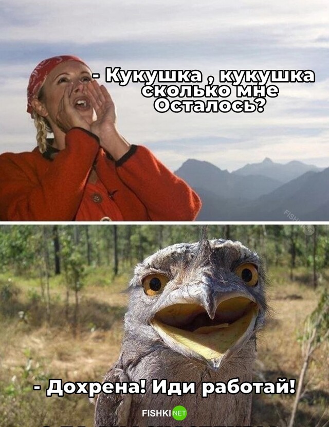 Скрины из соцсетей            