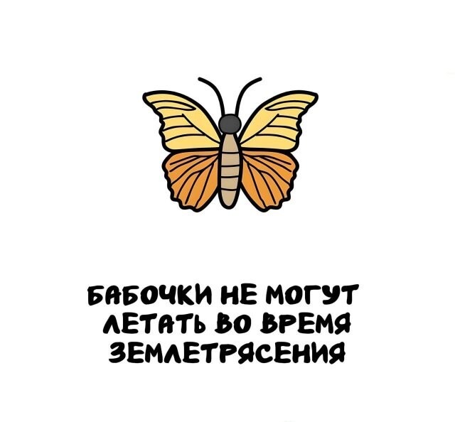 А вдруг ты не знал…