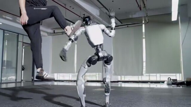 Люди продолжают обижать роботов