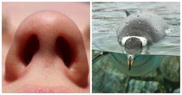 10 фактов, которые заставят вас сказать «Вау!»