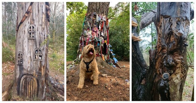 Пропавший пастор и холм фей: шотландская легенда, которая стала реальностью