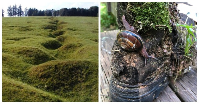 Мощь природы в 22 снимках, которые доказывают её превосходство